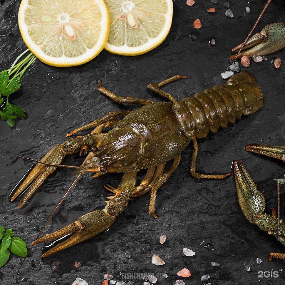 Отзывы на компанию Рыбный магазин в г. Краснодар c фото