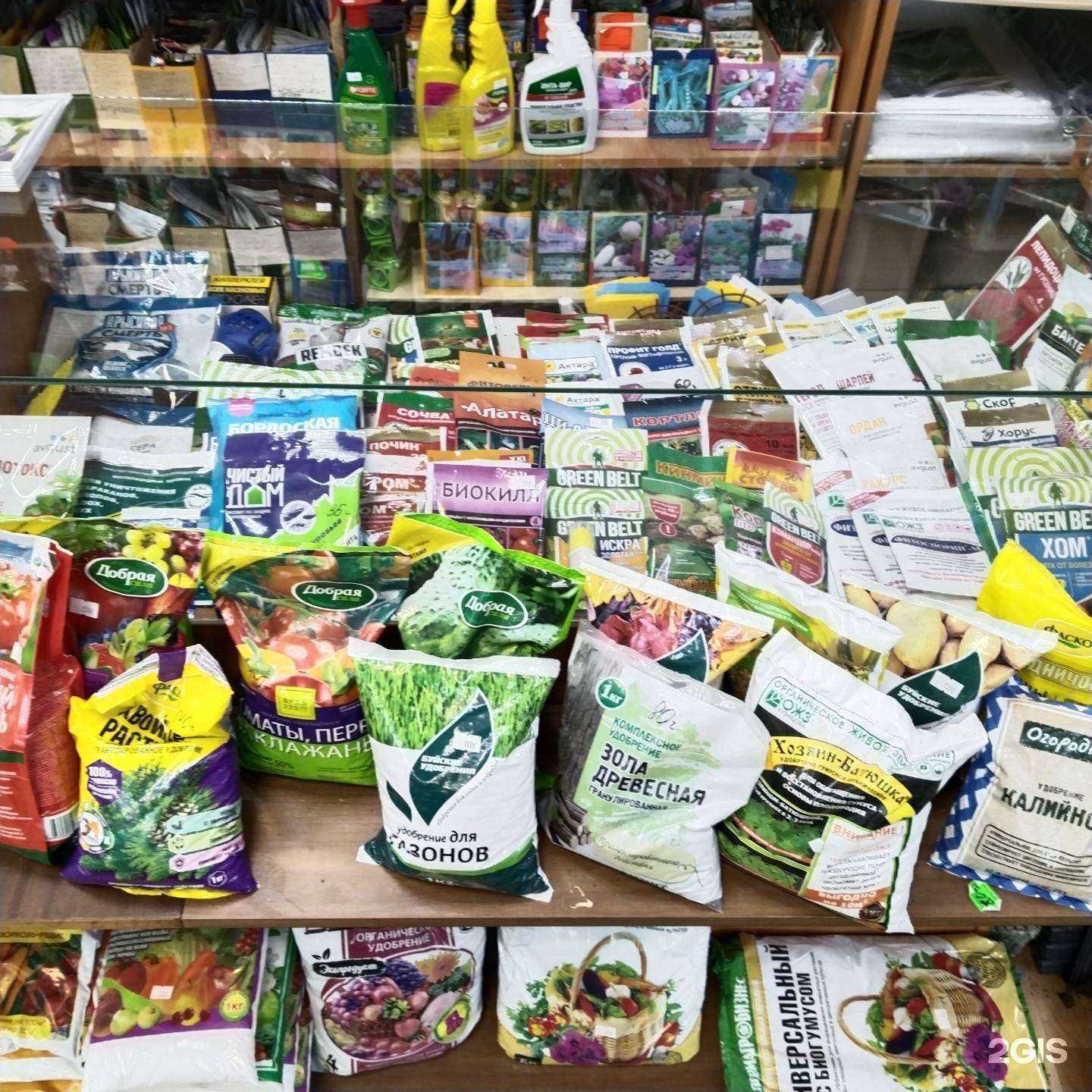 Отзывы на компанию Елки-палки в Челябинске c фото