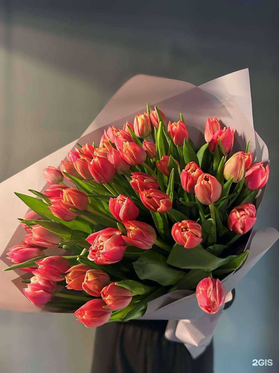 Отзывы на компанию Ботаник в Иркутске c фото