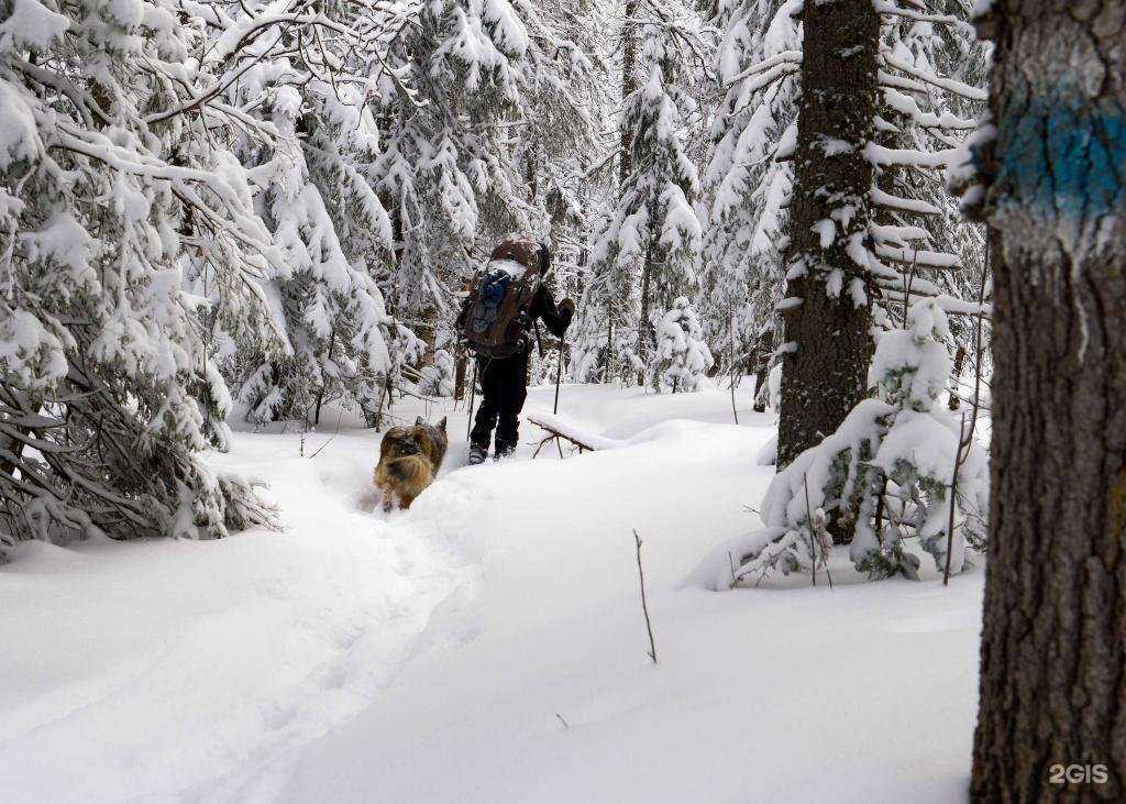 Отзывы на компанию Сплав в Улан-Удэ c фото