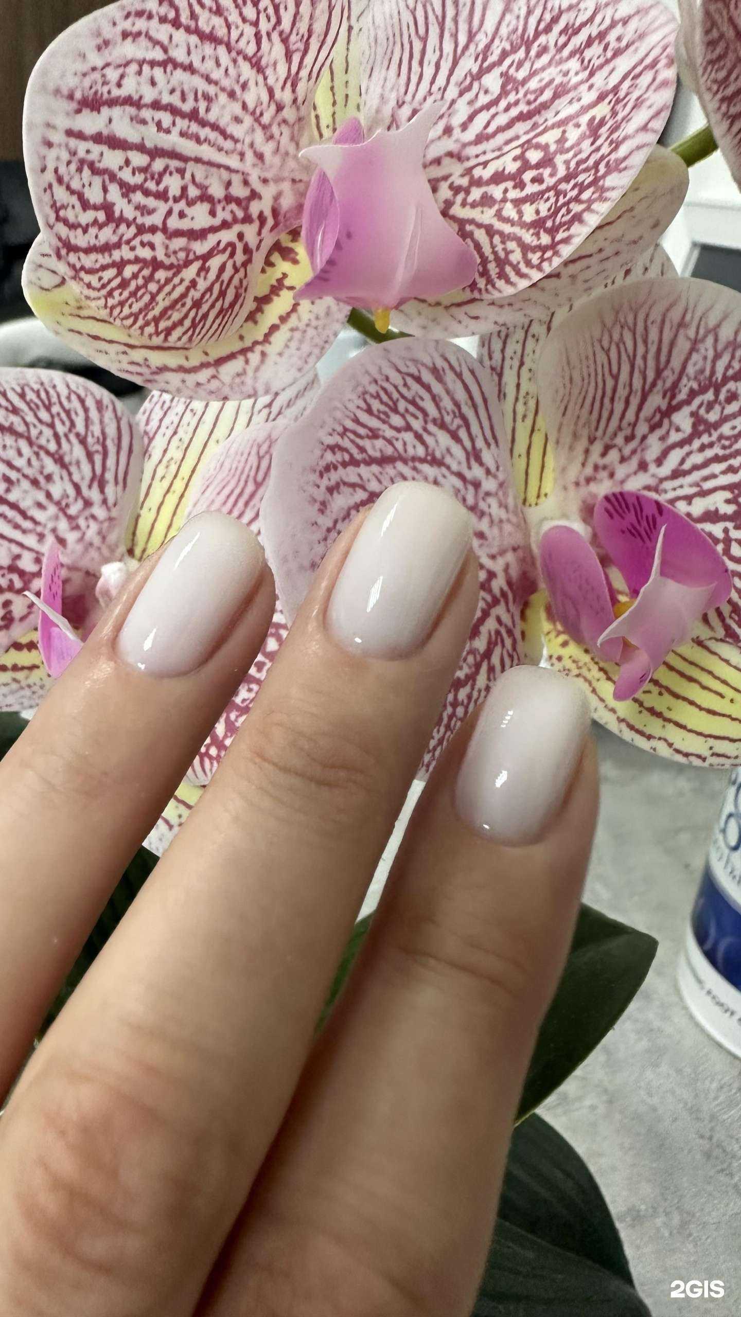 Отзывы на компанию Студия маникюра в Чите c фото