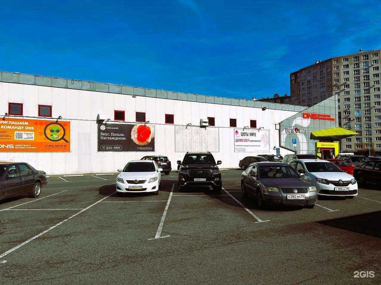 Отзывы на компанию DNS в г. Калининград c фото