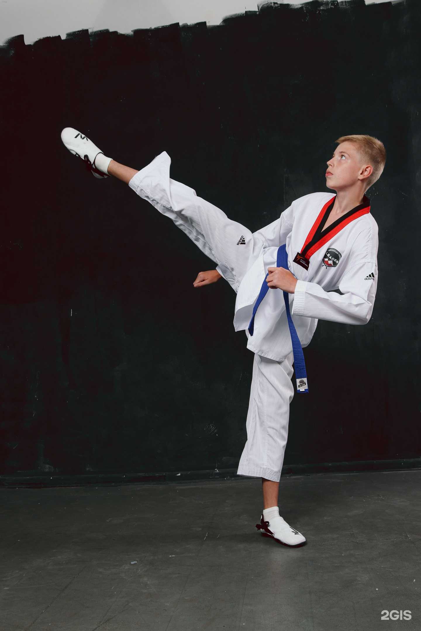 Отзывы на компанию Leader в Майкопе c фото