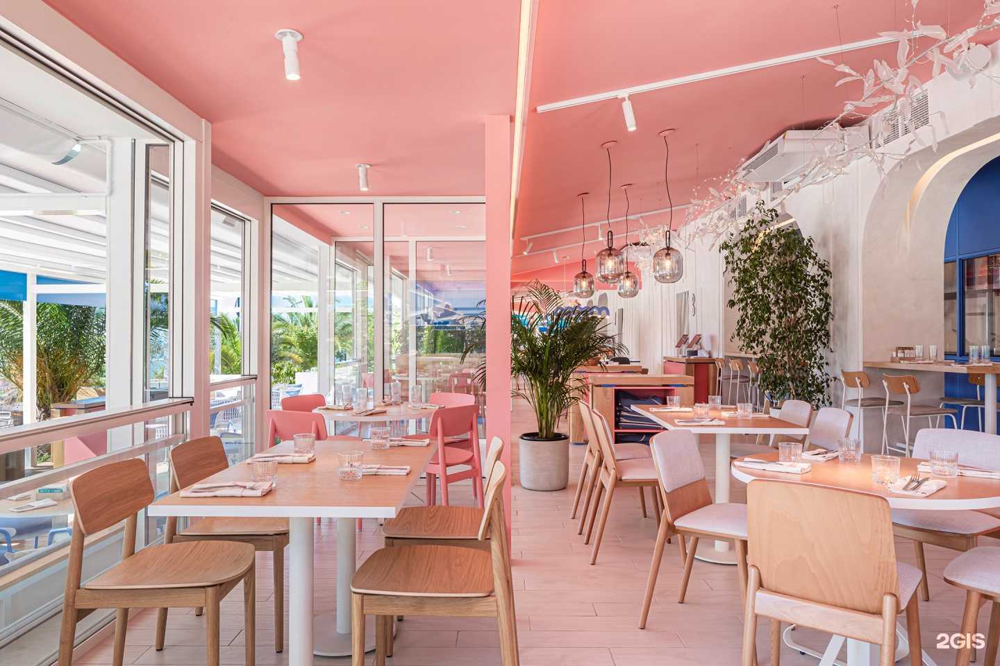 Отзывы на компанию Pro. Мидии в г. Сочи c фото