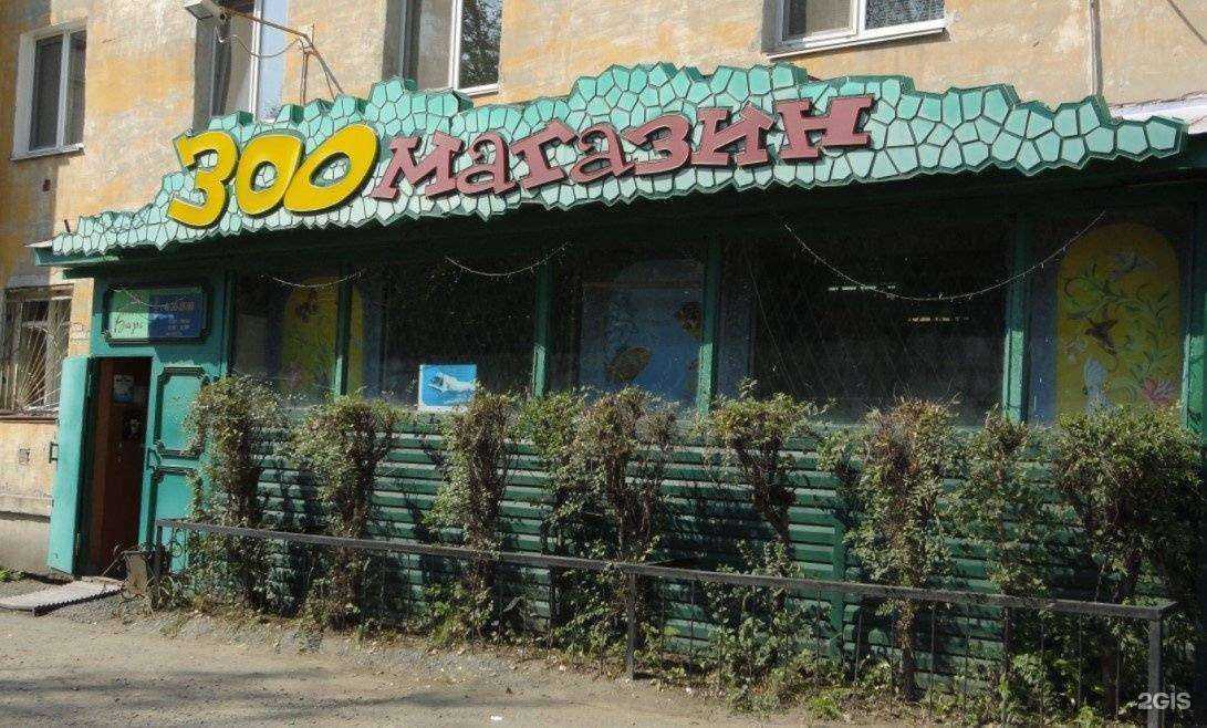 Отзывы на компанию Зоомагазин в г. Курган c фото