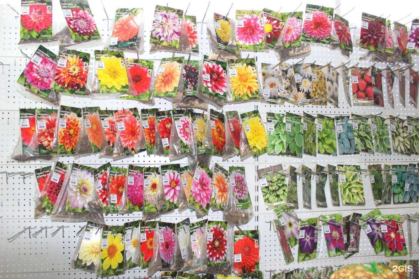 Отзывы на компанию Садовита в Пензе c фото