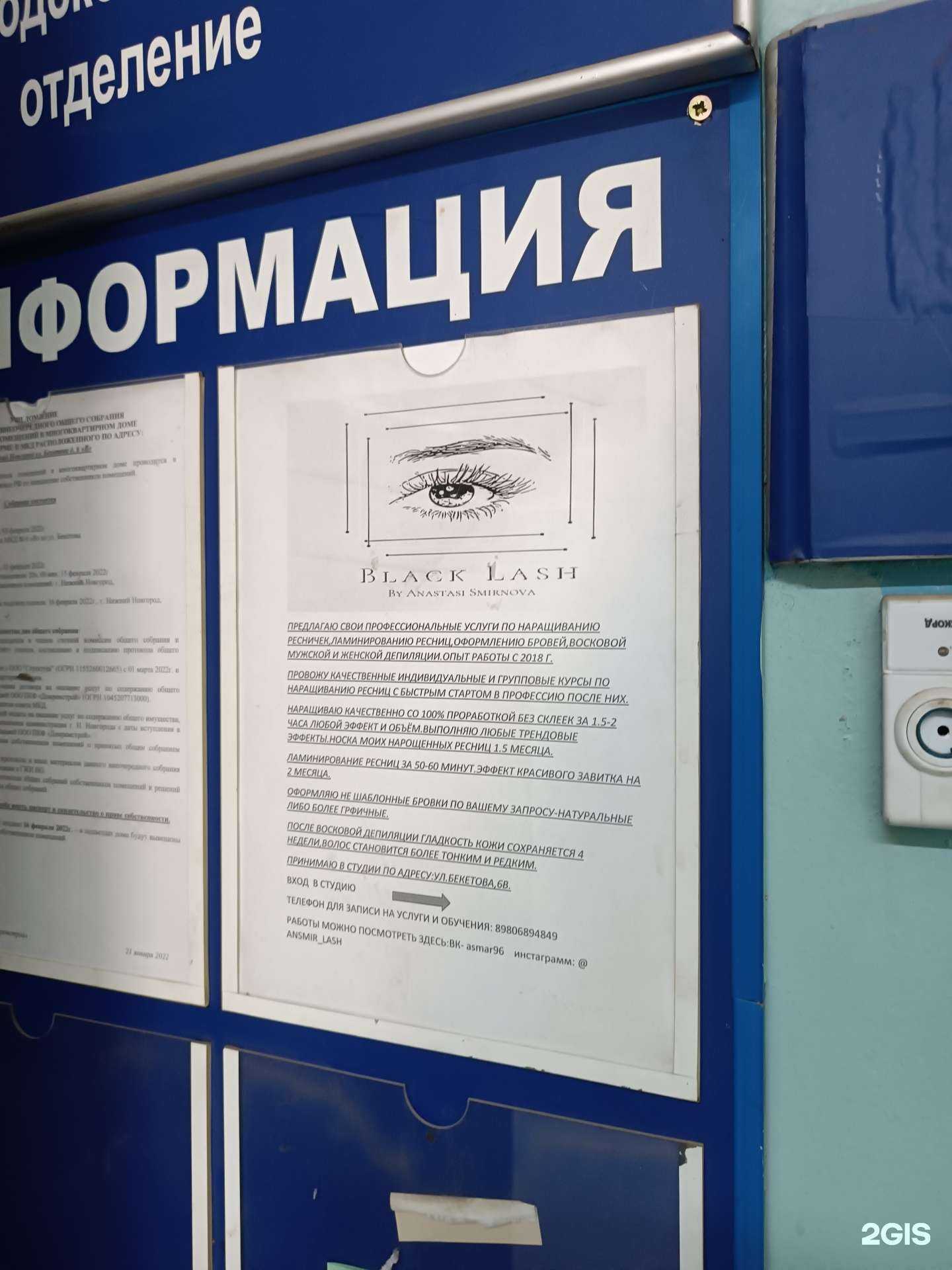 Отзывы на компанию Black lash в Нижнем Новгороде c фото