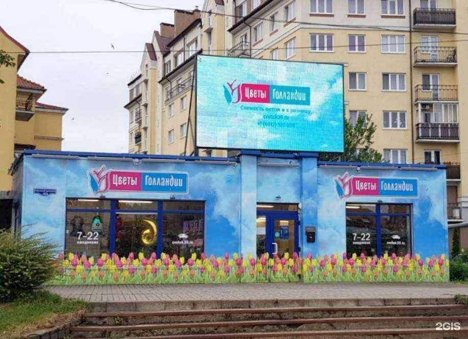 Отзывы на компанию Цветы Голландии в Калининграде c фото