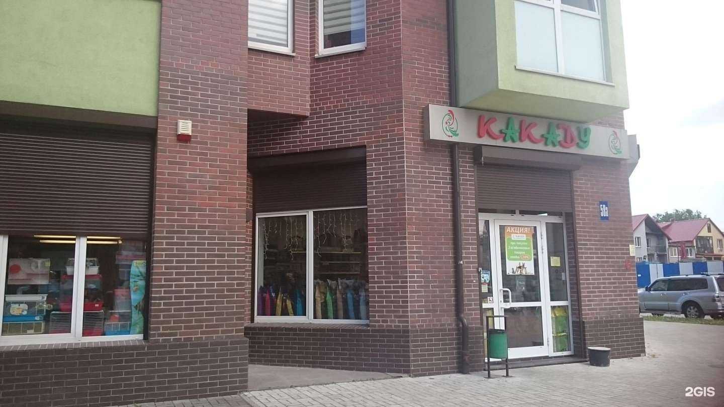 Отзывы на компанию Какаду в Калининграде c фото