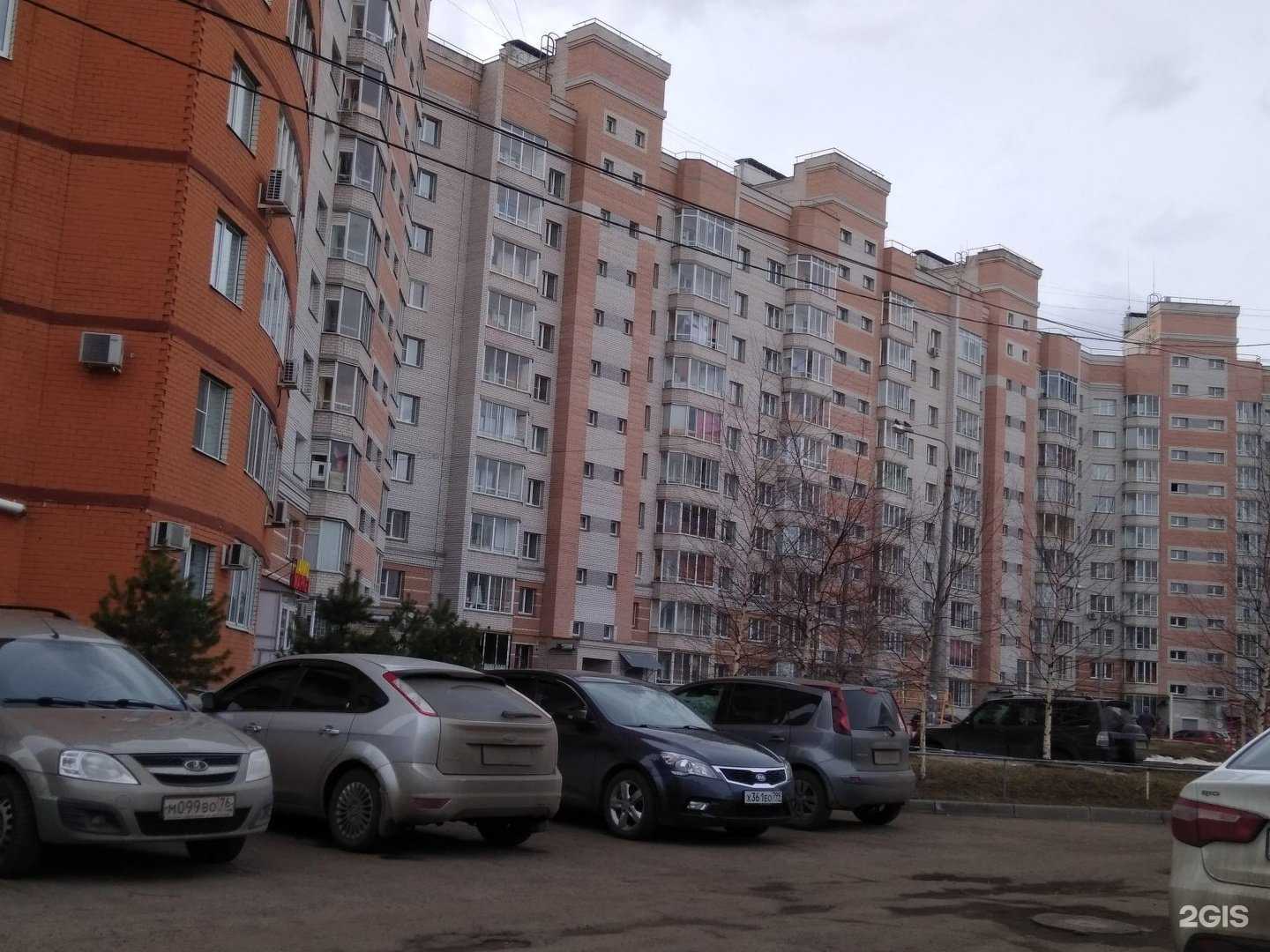 Отзывы на компанию Вита в Ярославле c фото - фотография 2 из 2