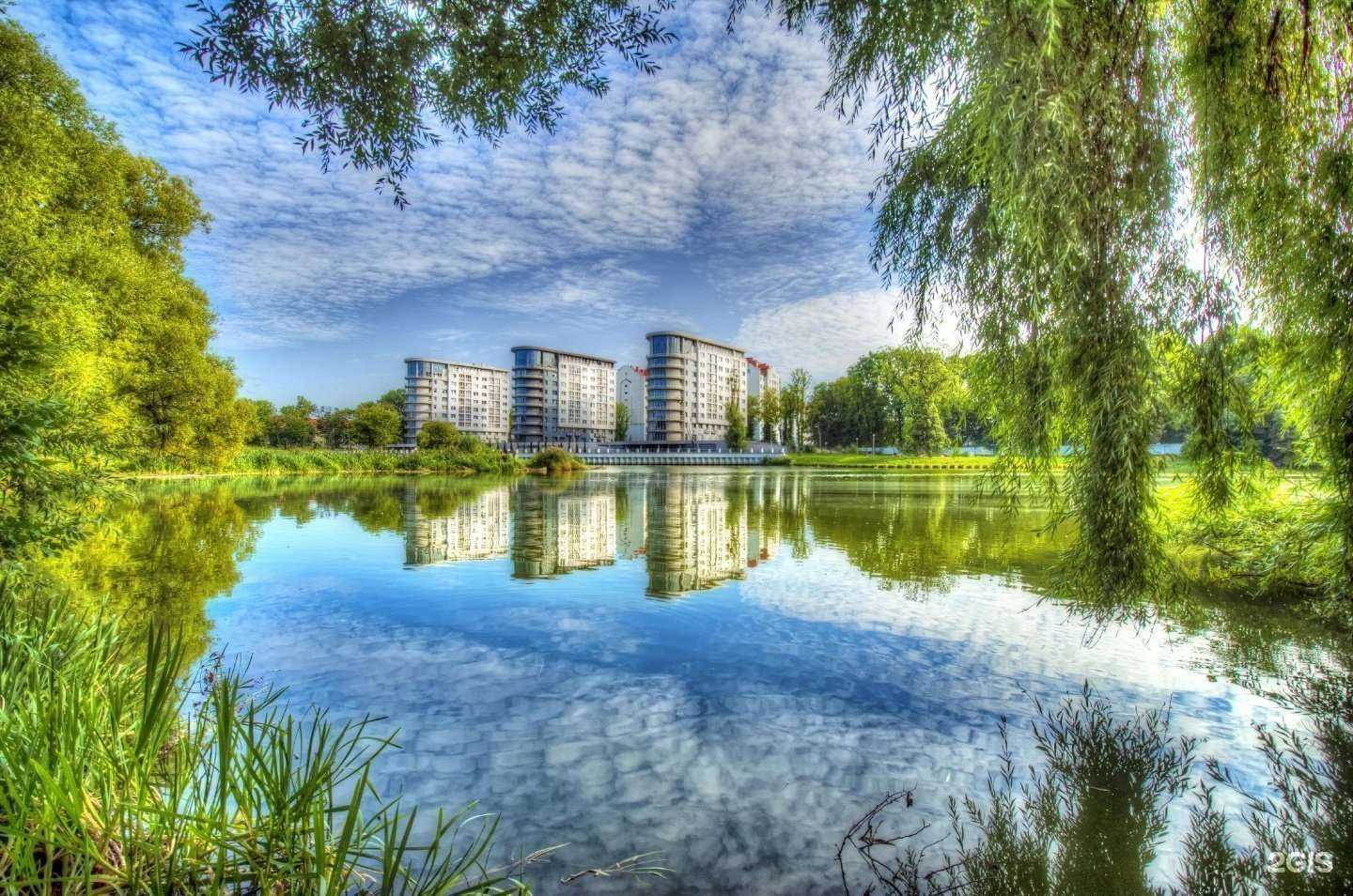 Отзывы на компанию Дентекс в Калининграде c фото - фотография 2 из 2