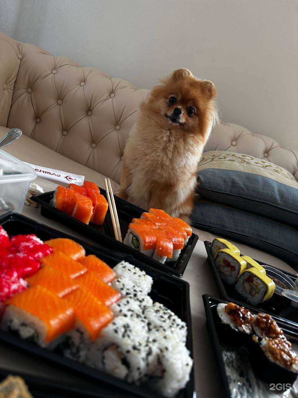 Отзывы на компанию Суши Эра в г. Хабаровск c фото