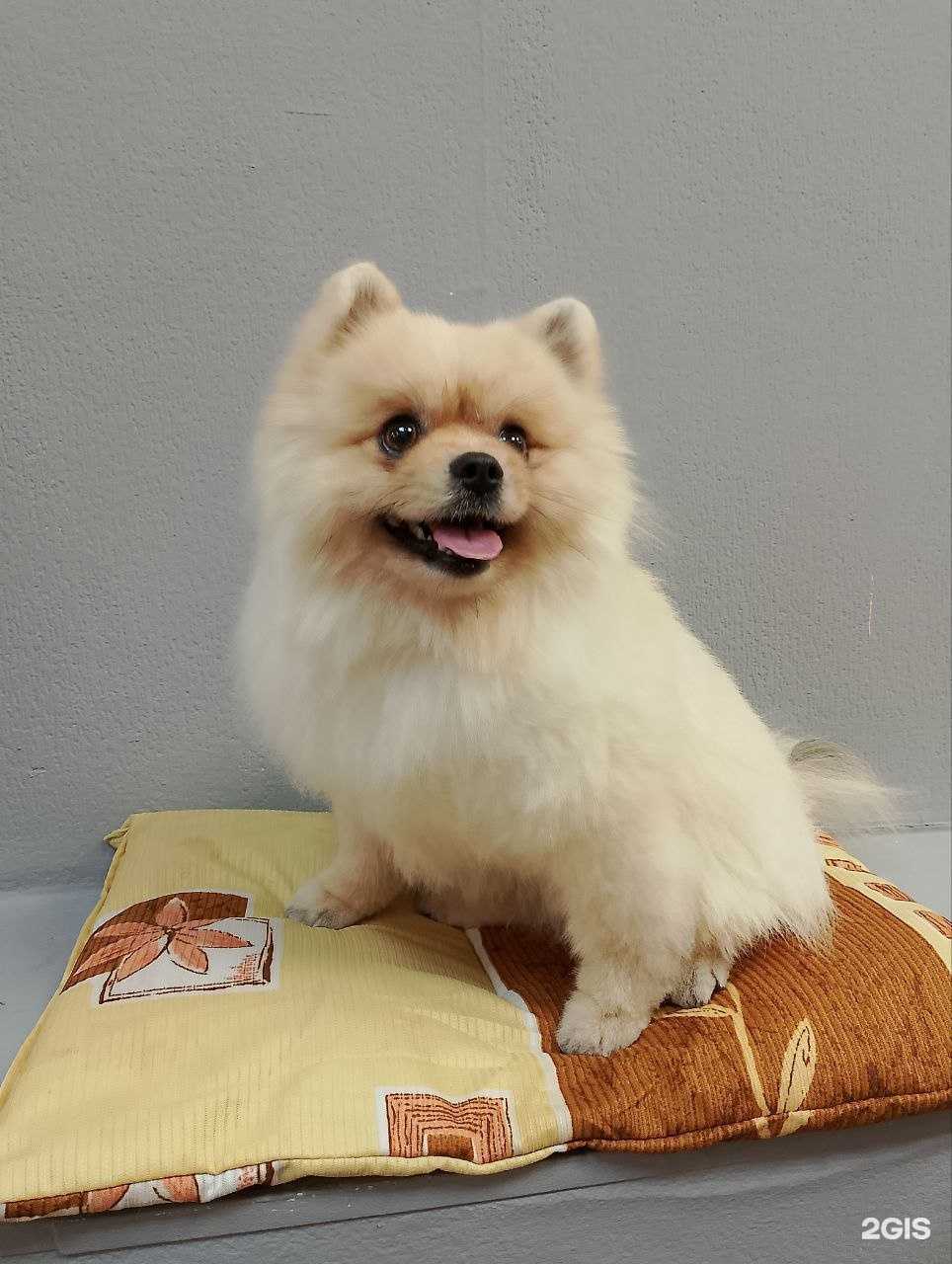 Отзывы на компанию Фрося в г. Пермь c фото