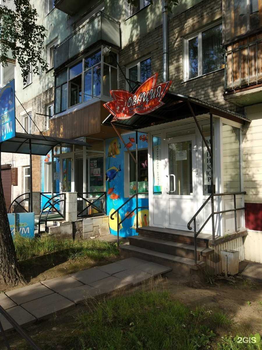 Отзывы на компанию Овация в г. Томск c фото