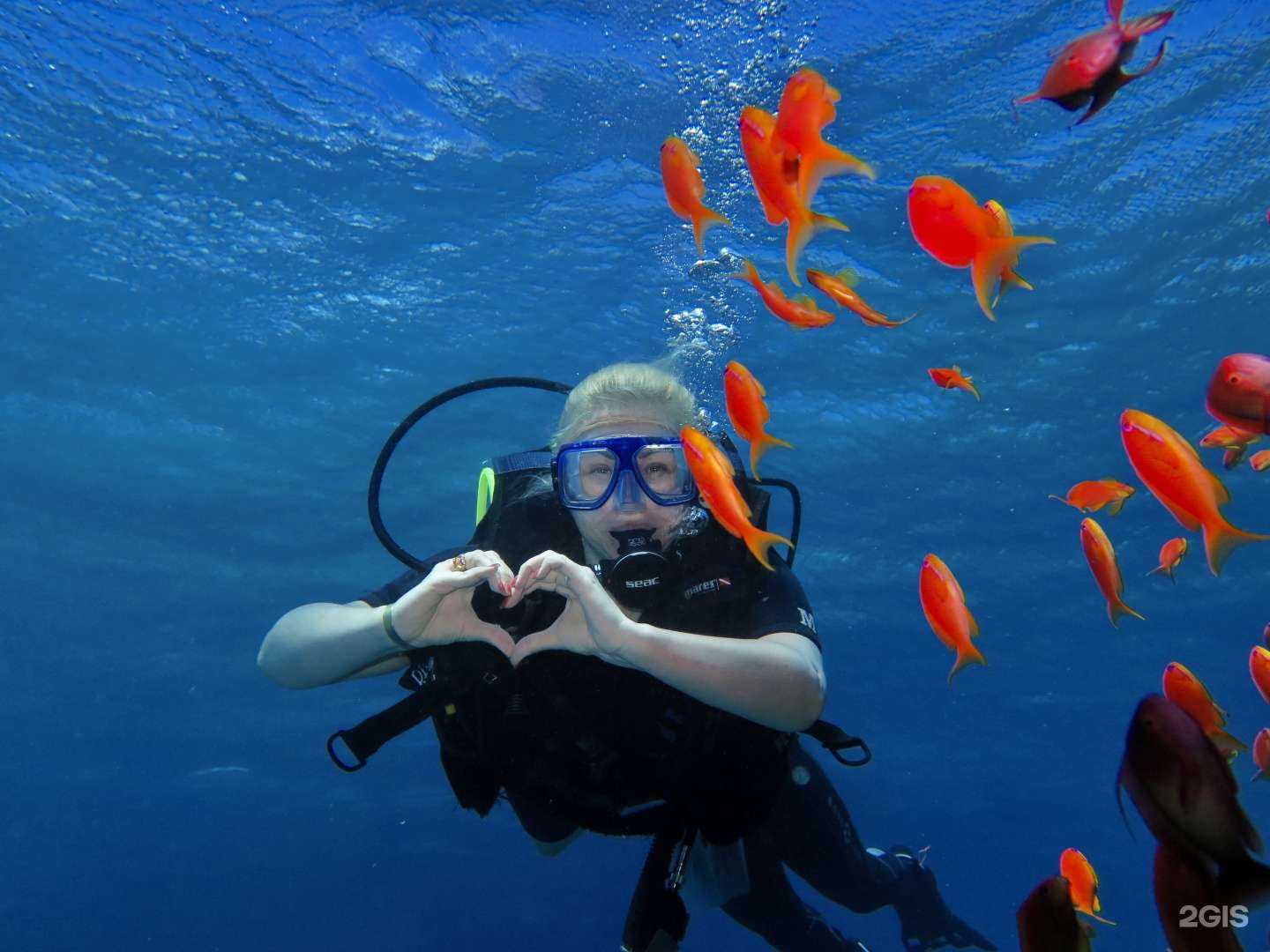 Отзывы на компанию Авиатур в Сургуте c фото