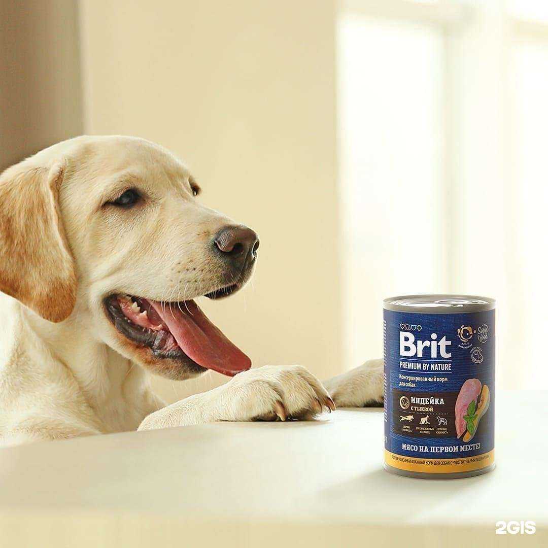 Отзывы на компанию Какаду в г. Калининград c фото