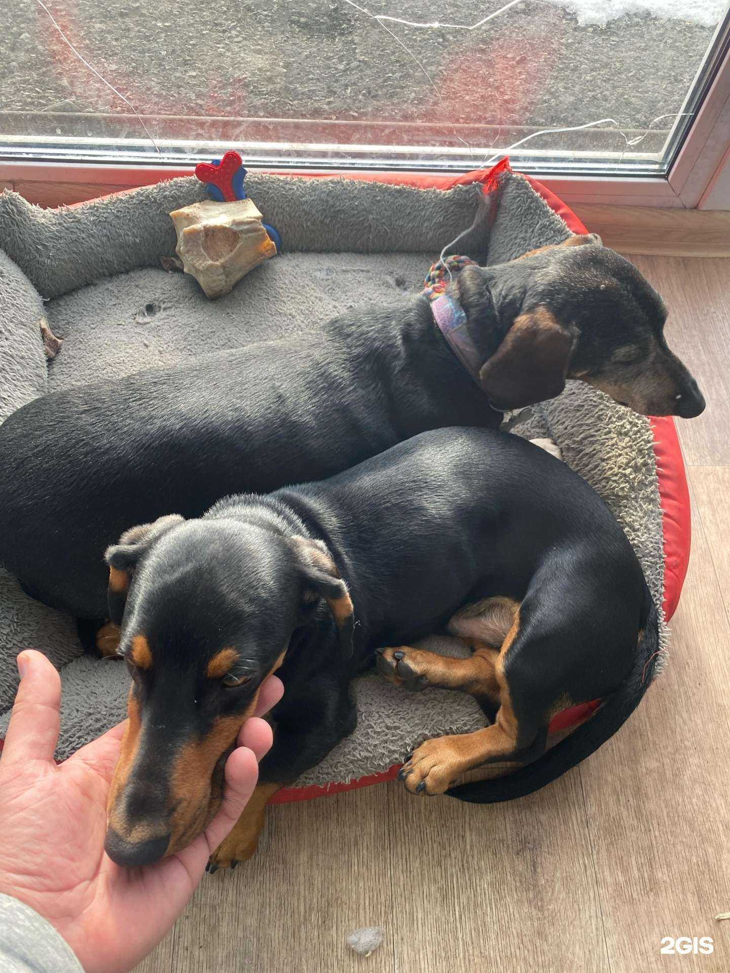 Отзывы на компанию Плюс в Петропавловске-Камчатском c фото