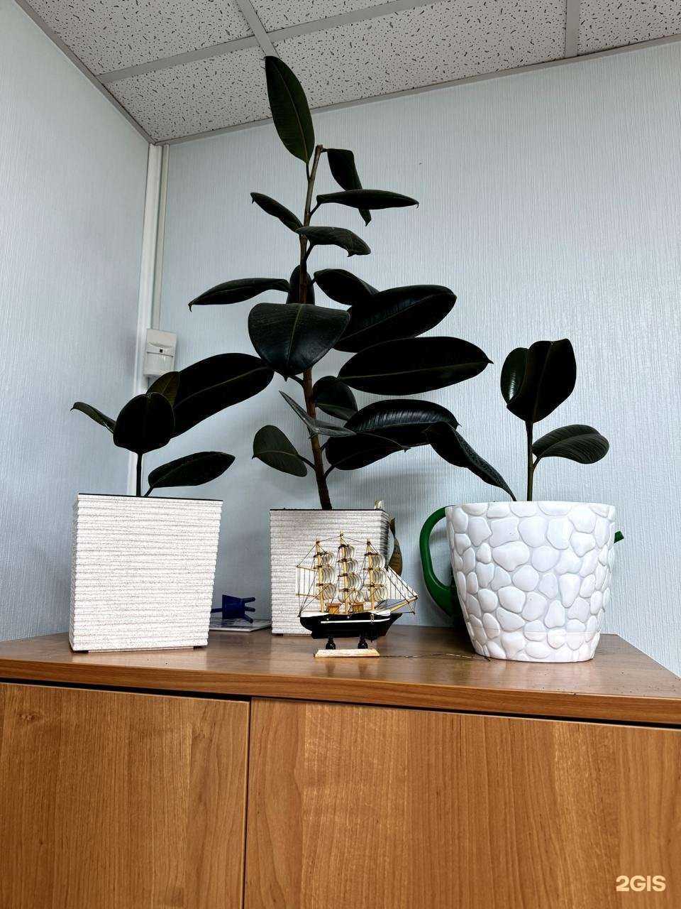 Отзывы на компанию Альфа-Бастион в Ростове-на-Дону c фото