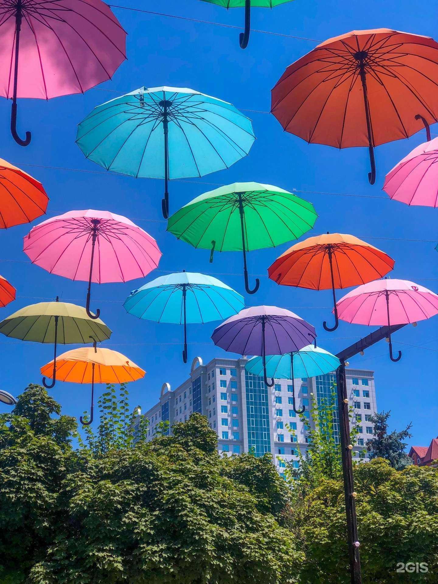 Отзывы на компанию Megapolis family в Грозном c фото - фотография 2 из 2