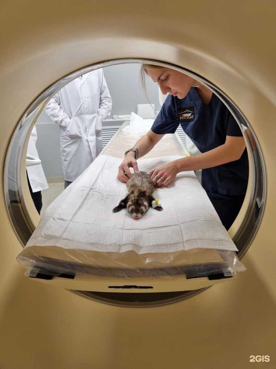 Отзывы на компанию СИББИОТЕХ в Новосибирске c фото