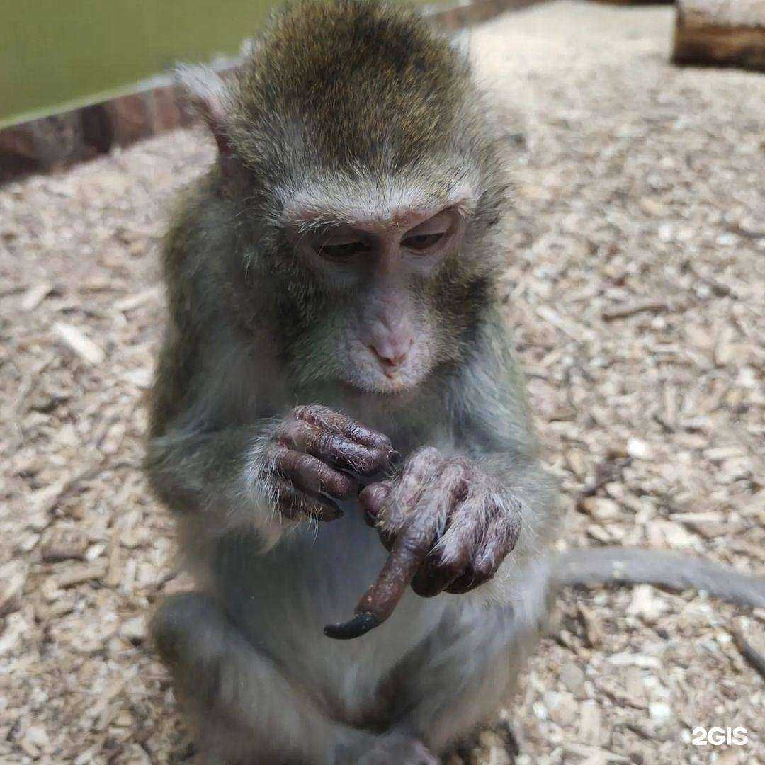 Отзывы на компанию Солнечный тур в Орле c фото