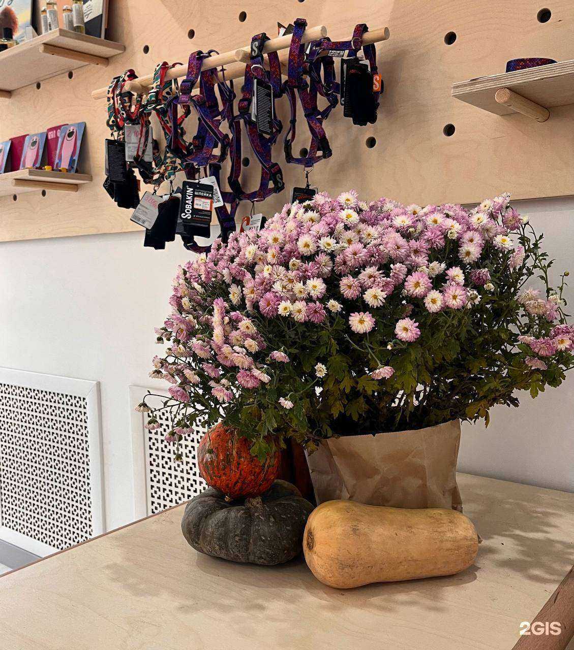 Отзывы на компанию Bulka в Ростове-на-Дону c фото