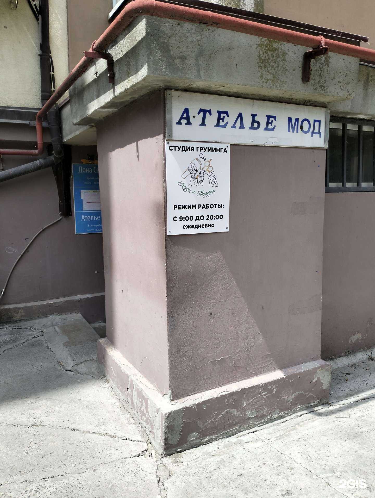 Отзывы на компанию Леди и бродяга в Волгограде c фото