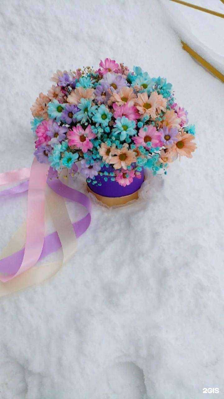 Отзывы на компанию Первый цветочный  в г. Архангельск c фото