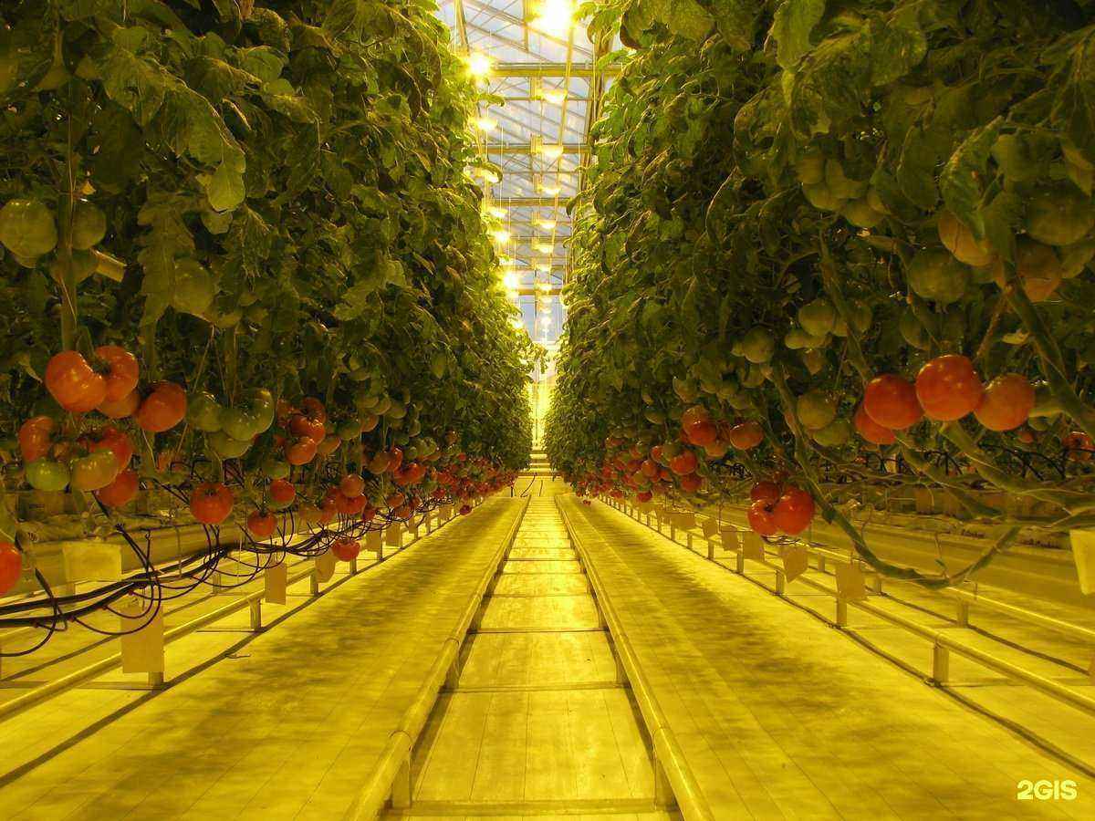 Отзывы на компанию Энерготеп в Ульяновске c фото