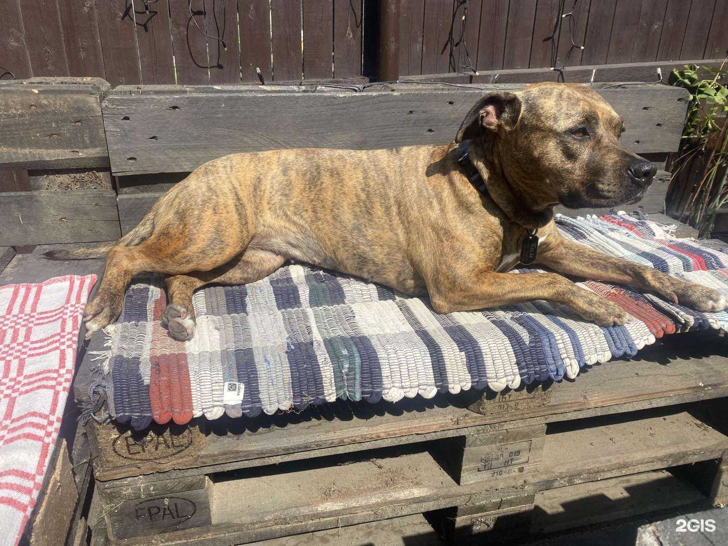 Отзывы на компанию Ветеринарный центр в Сургуте c фото