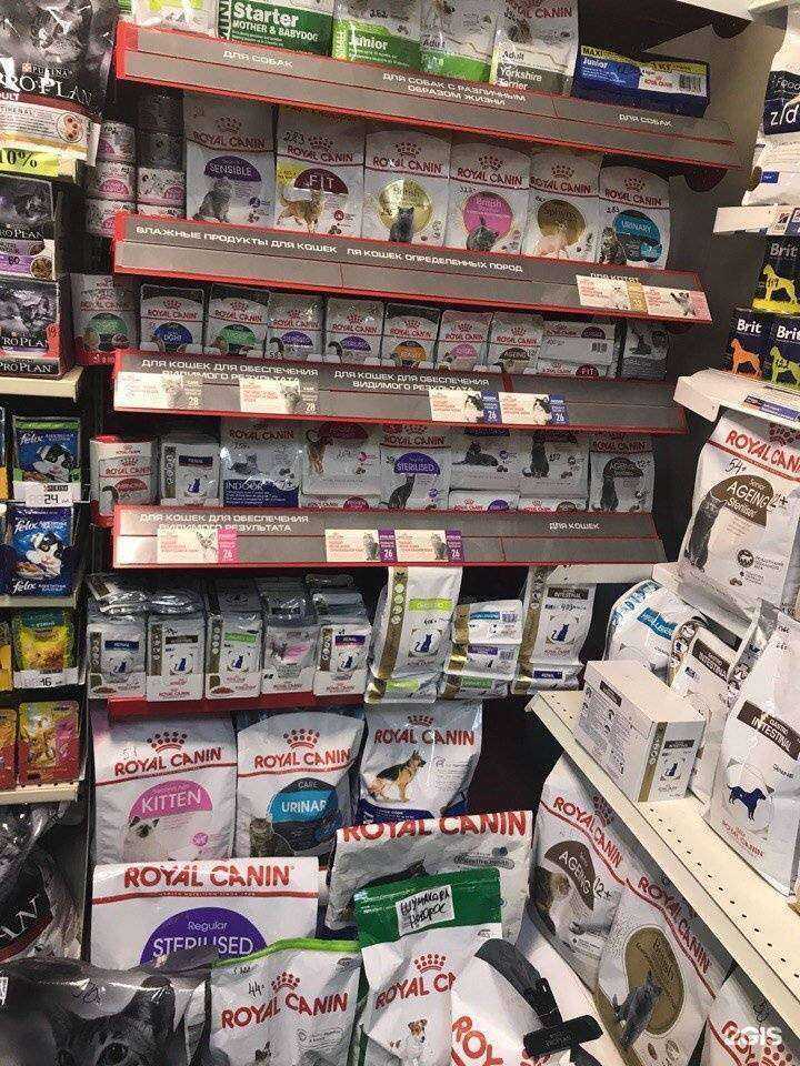 Отзывы на компанию 4 лапы в г. Челябинск c фото