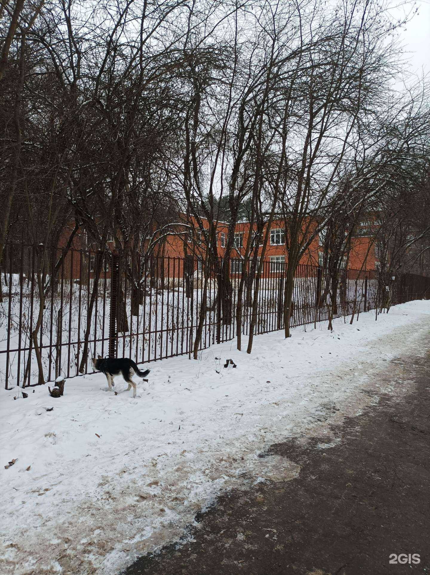 Отзывы на компанию Детская художественная школа им. О.Н. Ряшенцева в Пущине c фото