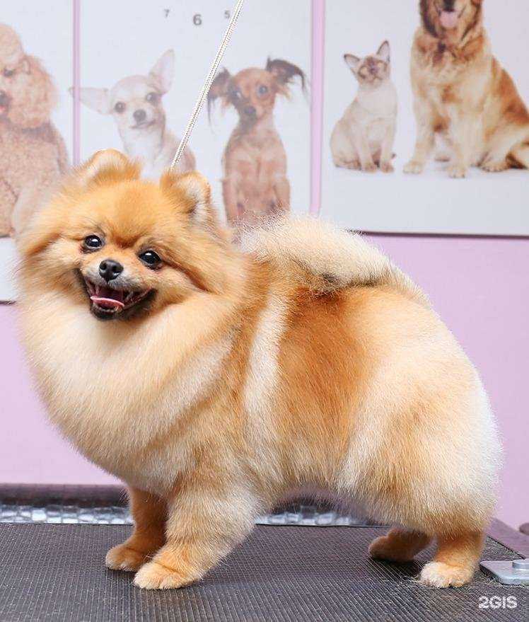 Отзывы на компанию Артемон в Твери c фото