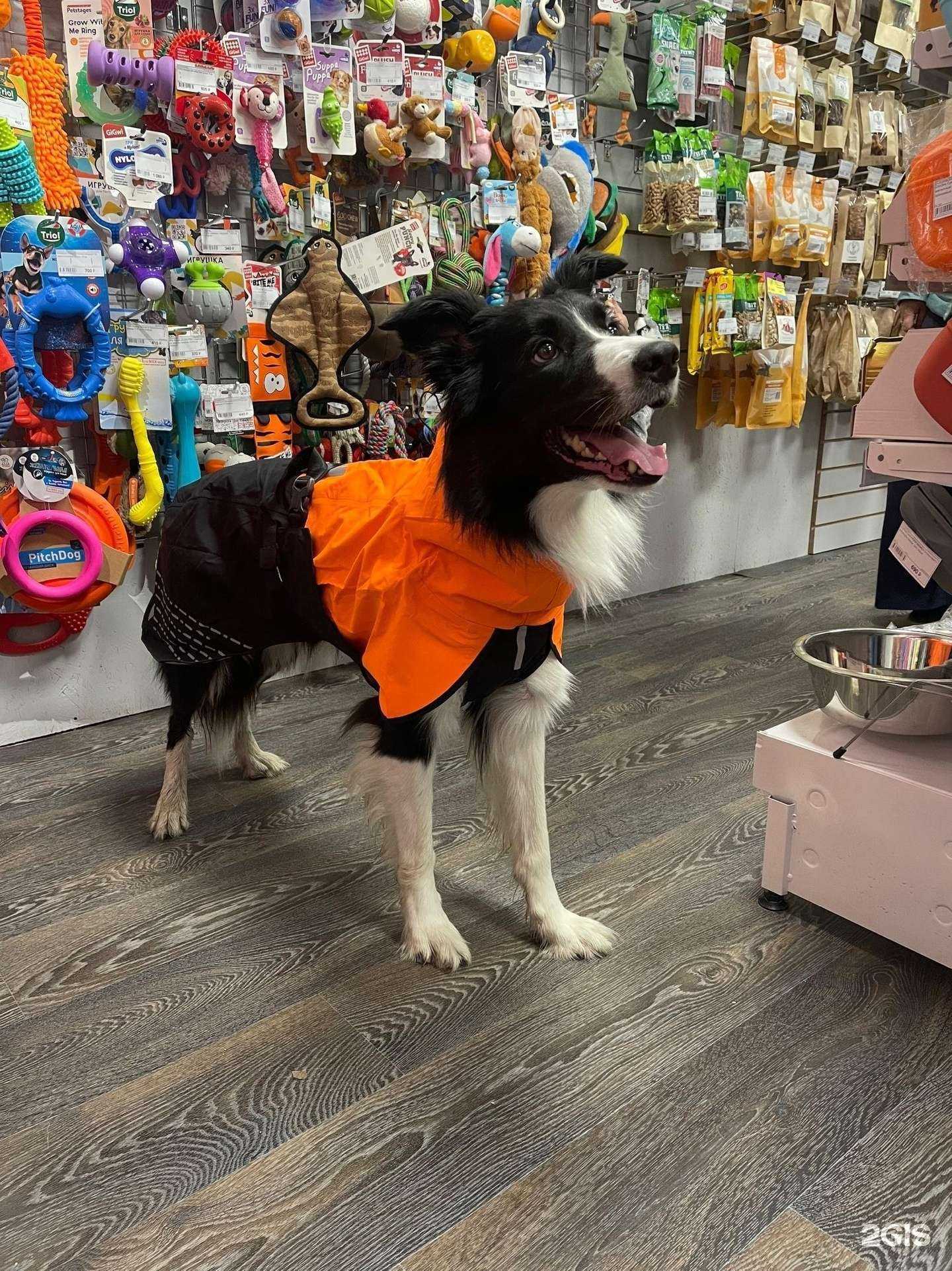 Отзывы на компанию Таликос в Екатеринбурге c фото