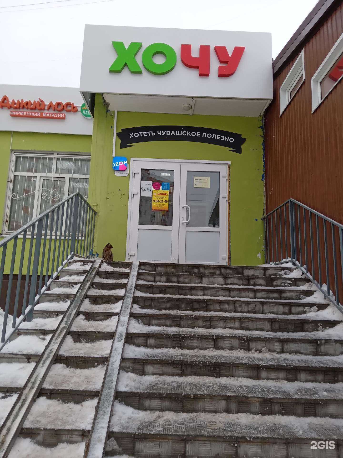 Отзывы на компанию Багира в г. Чебоксары c фото