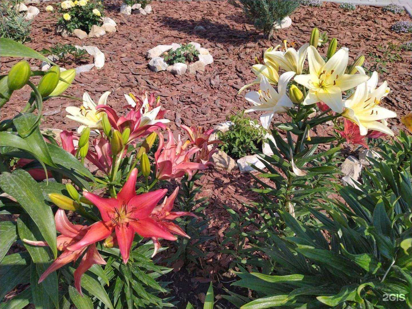 Отзывы на компанию Кора-ТМН в г. Тюмень c фото