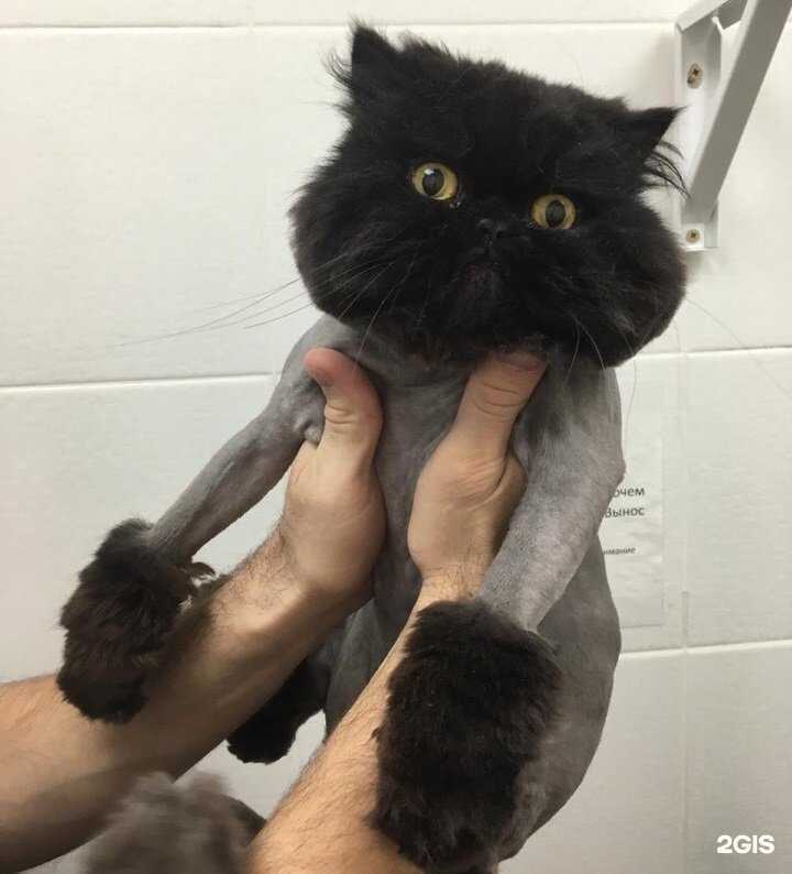 Отзывы на компанию Пульс в Новосибирске c фото