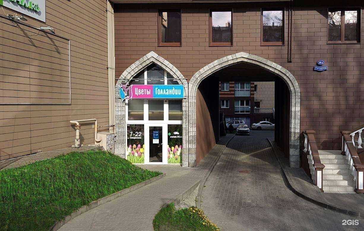 Отзывы на компанию Цветы Голландии в г. Калининград c фото