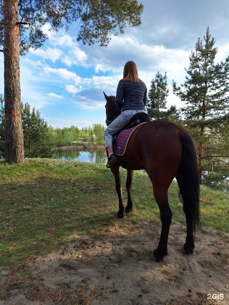 Отзывы на компанию Nemezida_Horse в г. Липецк c фото