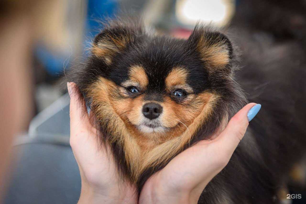 Отзывы на компанию Groom Academy в Екатеринбурге c фото