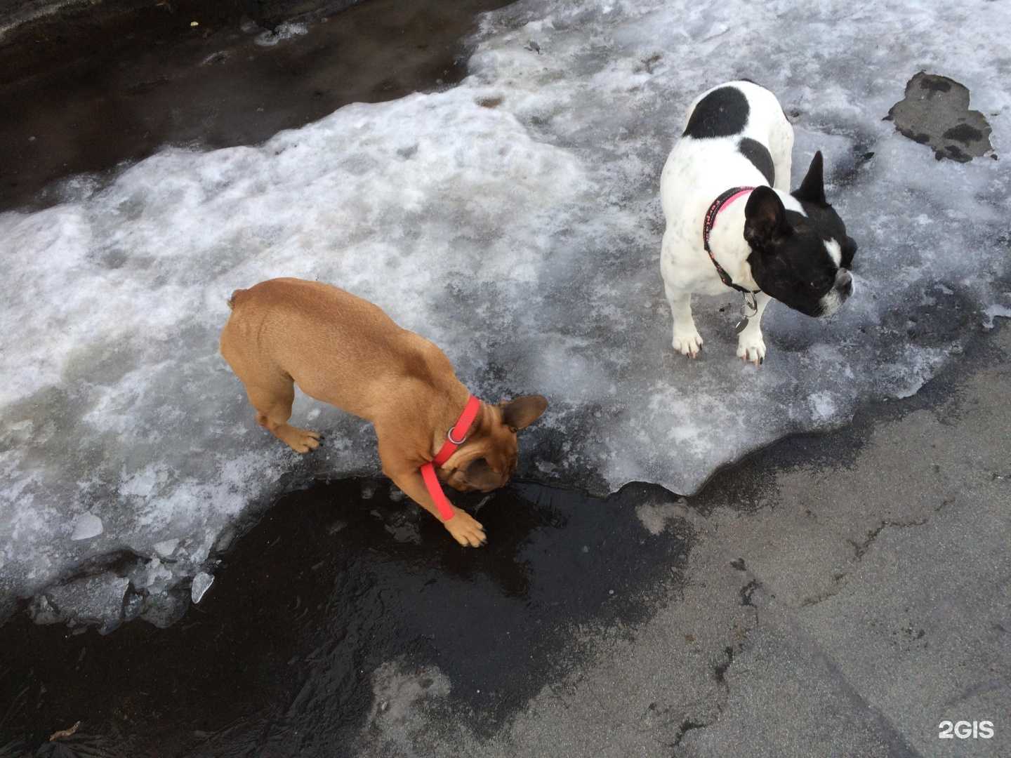 Отзывы на компанию Вертикаль 2000 в г. Магнитогорск c фото