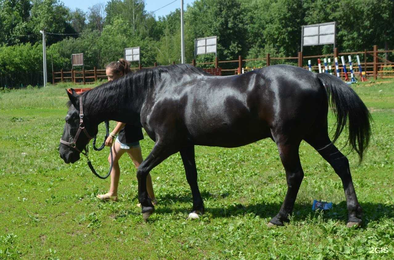 Отзывы на компанию Тульские парки в Туле c фото