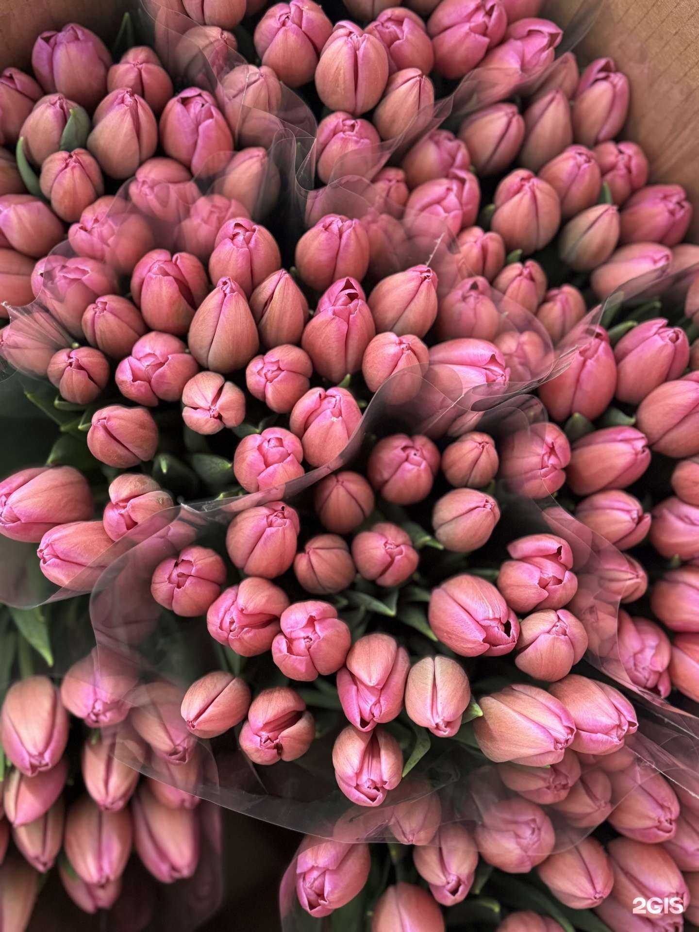 Отзывы на компанию Цветочная лавка в Сочи c фото