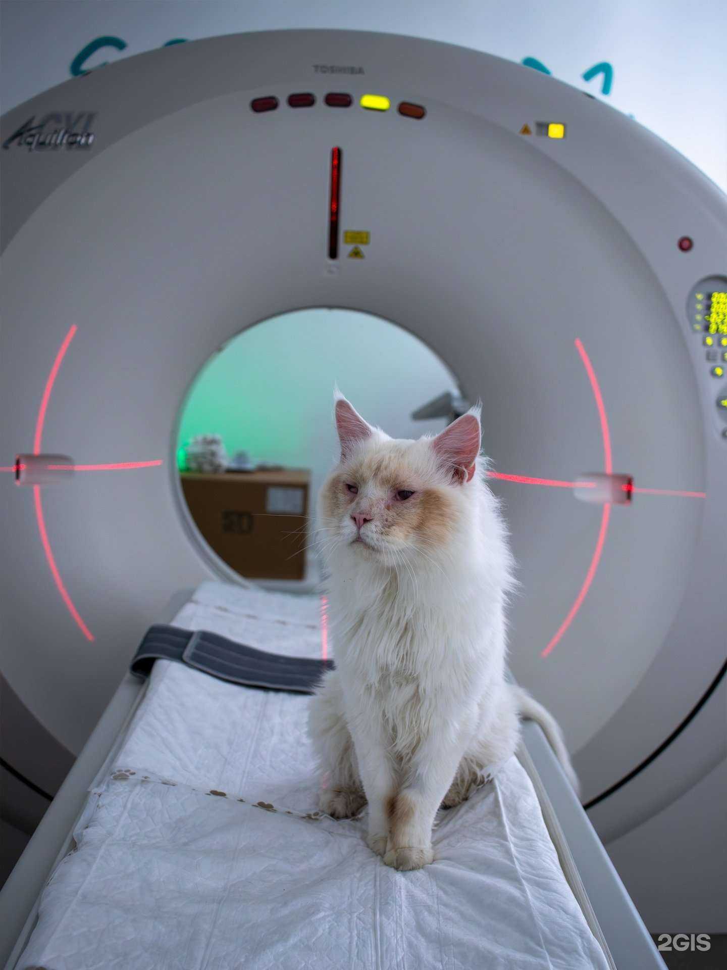 Отзывы на компанию Энималз в Новосибирске c фото