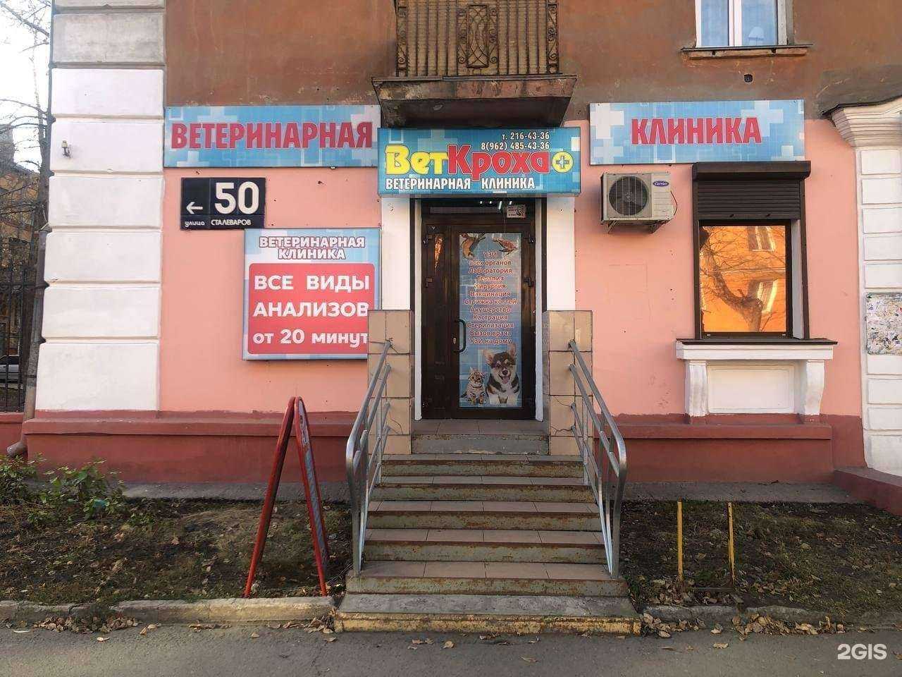 Отзывы на компанию ВетКроха+ в г. Челябинск c фото