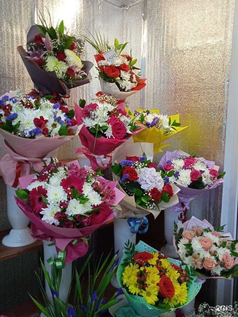 Отзывы на компанию Николь в Новосибирске c фото