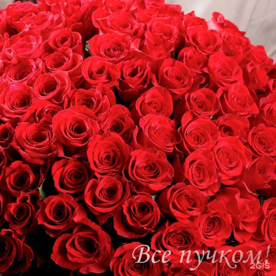 Отзывы на компанию Все пучком! в Череповце c фото