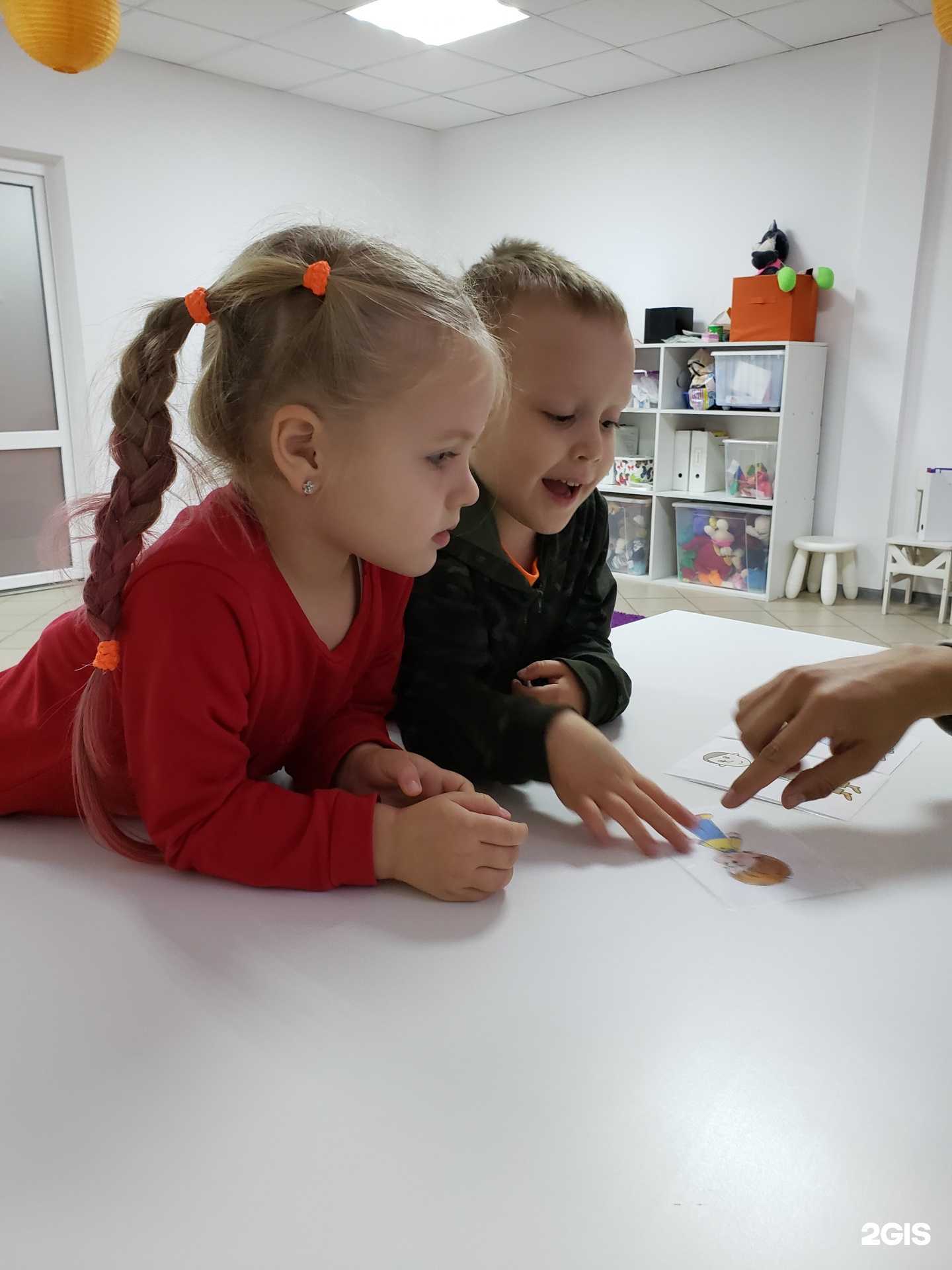 Отзывы на компанию Clever clogs в Тольятти c фото