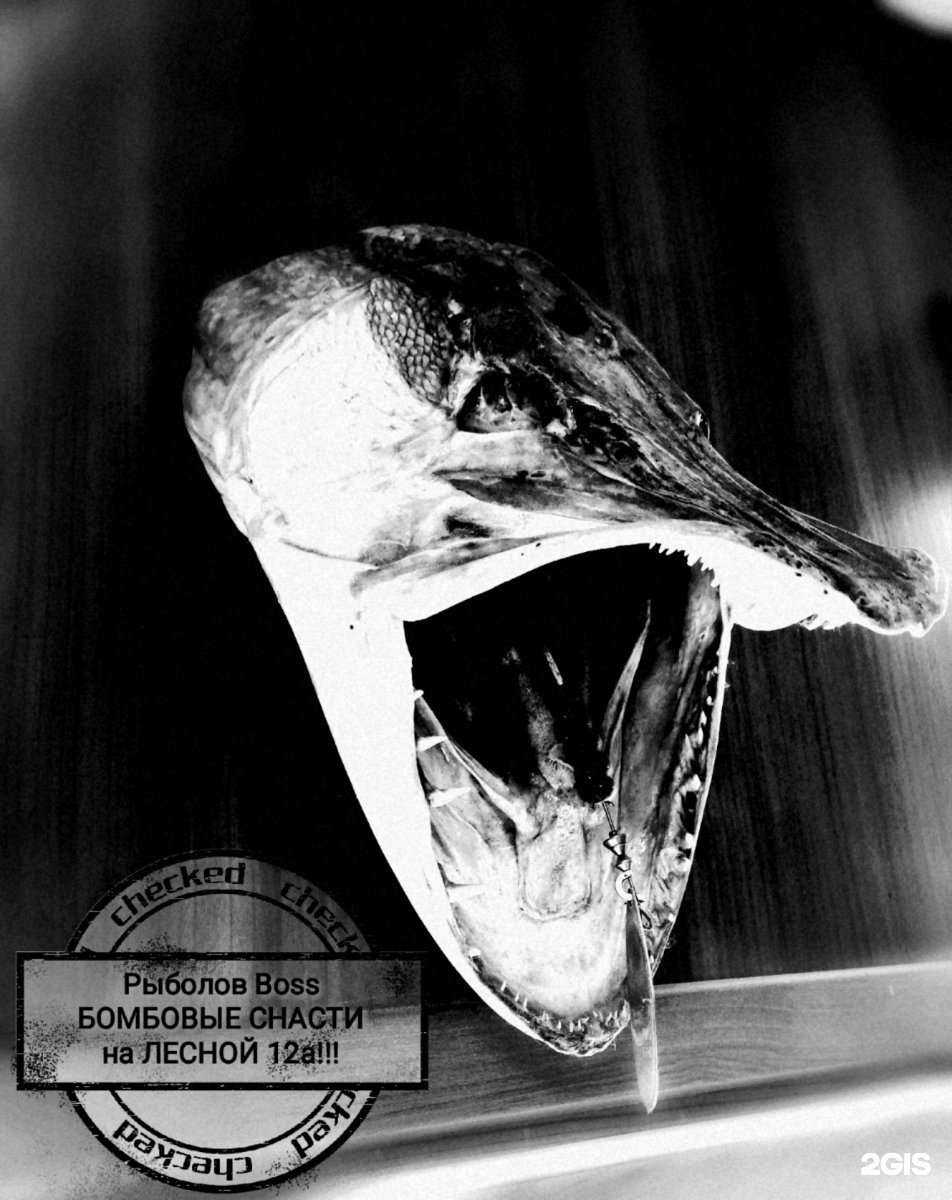 Отзывы на компанию Рыболов в Нижневартовске c фото
