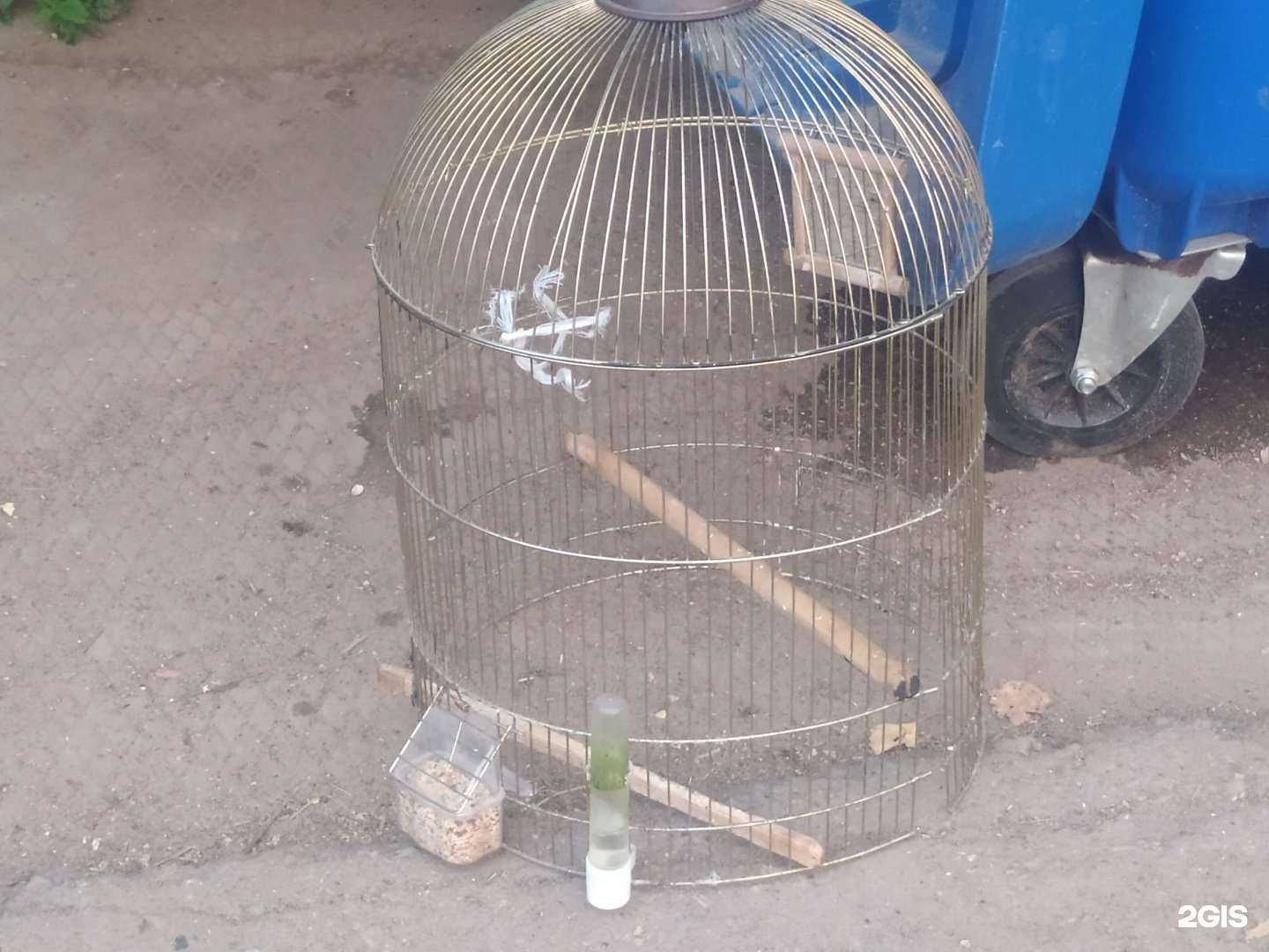 Отзывы на компанию Luxstahl в Кирове c фото